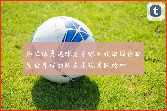 约旦球员进球后举球衣致敬因伤缺席世界杯的队友展现团队精神